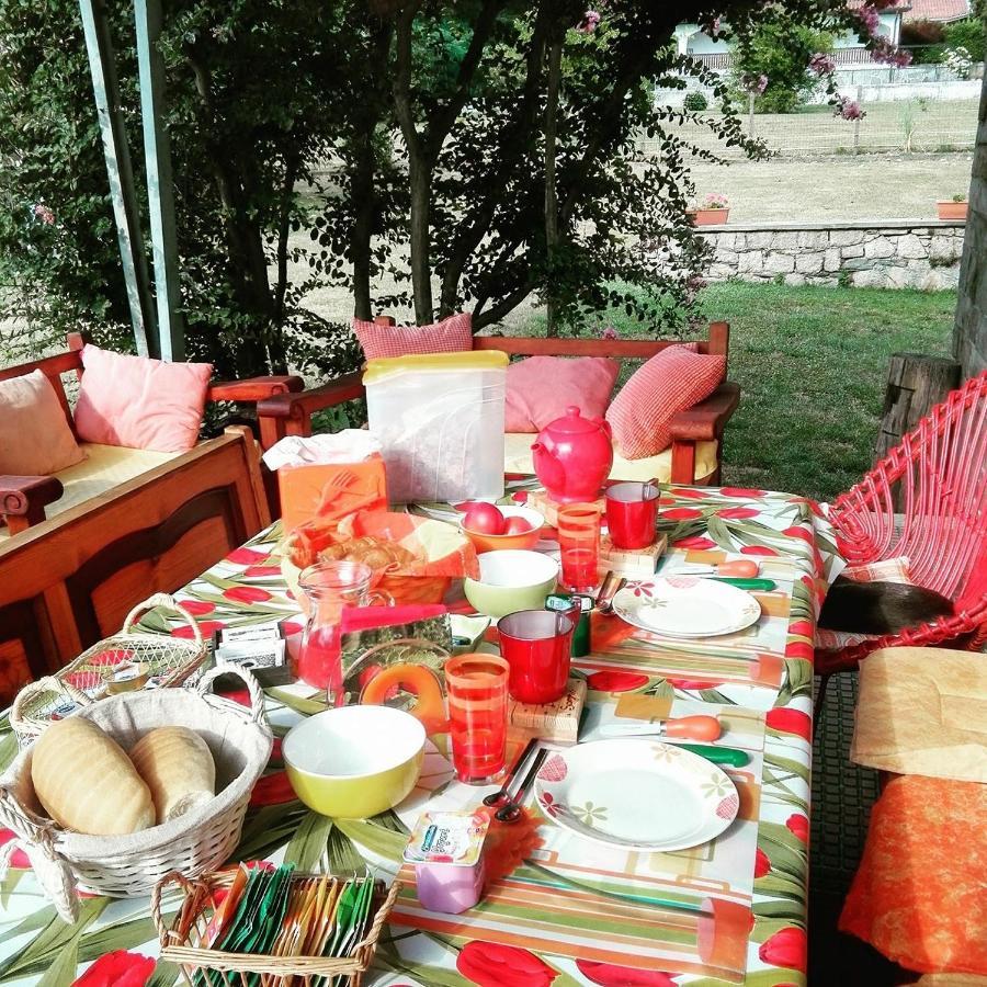 B&B Il Tempo Del Sogno Con Cani E Gatti Pet&Breakfast Baveno Exterior photo