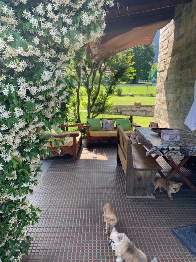 B&B Il Tempo Del Sogno Con Cani E Gatti Pet&Breakfast Baveno Exterior photo
