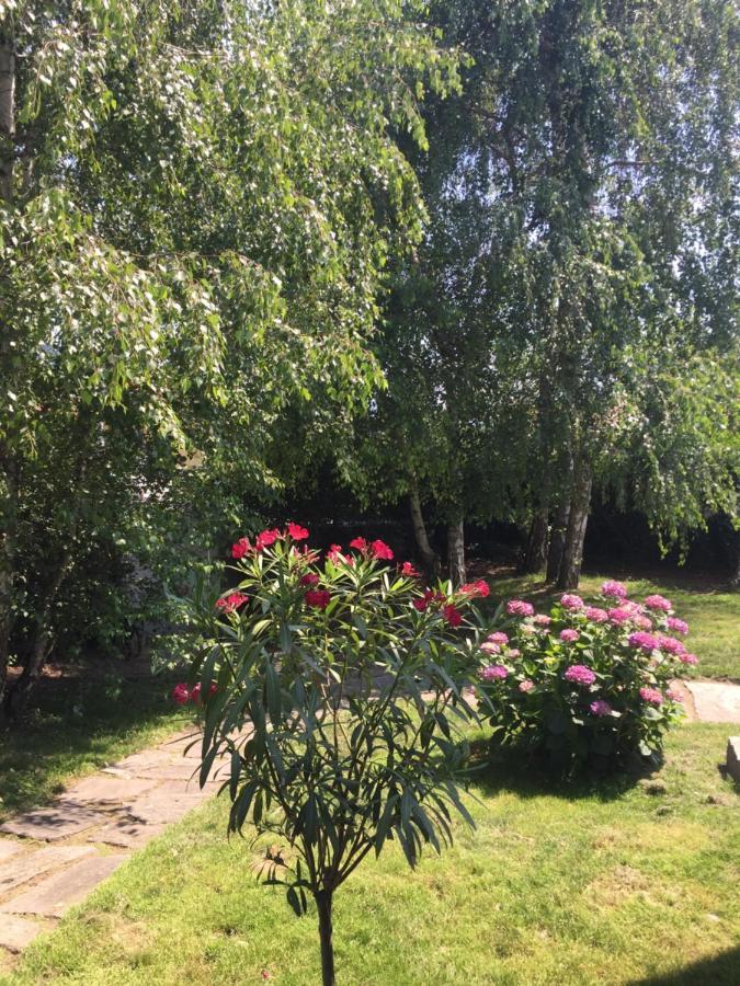B&B Il Tempo Del Sogno Con Cani E Gatti Pet&Breakfast Baveno Exterior photo